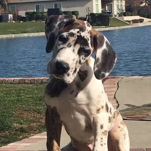 Meet your Posher, Beth